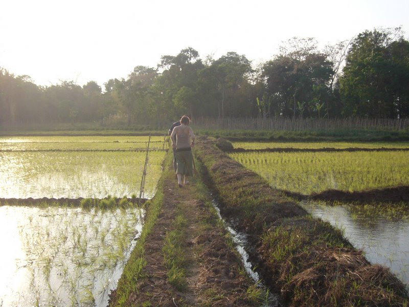 Travel - Myanmar - Inle Lake - First Boat Trip - The boat-drivers village - Rice and Cigars